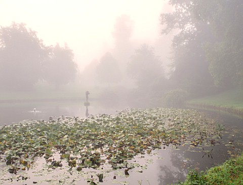 FORDE_ABBEY_SOMERSET_LAKE_AND_STATUE_IN_MIST_FOG_OCTOBER_FALL_MORNING_LIGHT_WATERLILIES