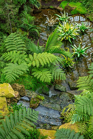 ROYAL_BOTANIC_GARDENS_KEW_TEMPERATE_HOUSE_VIEW_ONTO_DALE_CHIHULY_GLASS_SCULPTURES_WATERFALL_GREEN