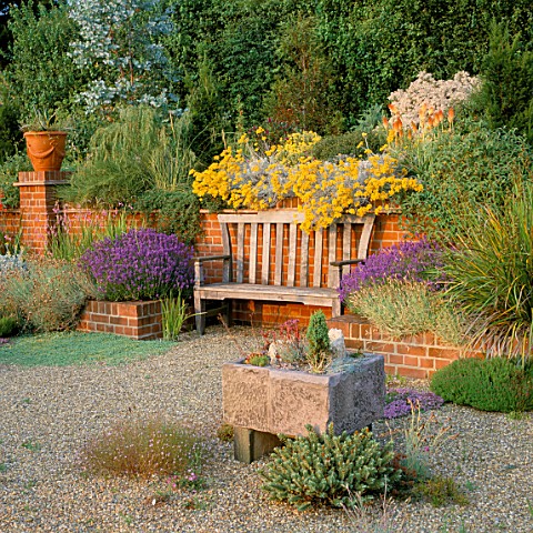 GRAVEL_GARDENFRAGRANT_BENCH_IN_BRICK_ALCOVE_SURROUNDED_BY_LAVENDER__HELICHRYSUM__AGAVES_IN_POTS_THE_