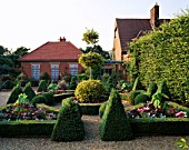 BUXUS SEMPERVIRENS FORM TOPIARY KNOT GARDEN  BALL OF ILEX X ALTACLERENSIS GOLDEN KING.THE OLD VICARAGE RUSTON NORFOLK