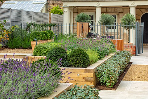 DESIGNER_ANTHONY_PAUL_SMALL_TOWN_FORMAL_GRAVEL_LAVENDER_RAISED_BEDS_CLIPPED_TOPIARY_LONDON