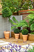 DESIGNER ANTHONY PAUL: SMALL, TOWN, FORMAL, LONDON, WALLS, TRELLIS, RAISED, BEDS, BOX BALLS IN CONTAINERS, TREE FERNS, DICKSONIA ANTARCTICA, GREEN, PATHS, PAVING, GRAVEL