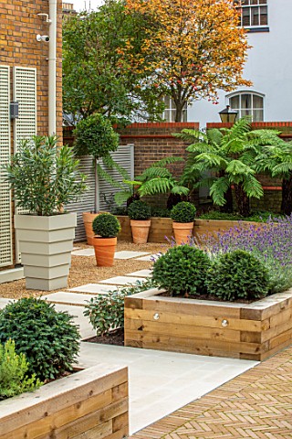 DESIGNER_ANTHONY_PAUL_SMALL_TOWN_FORMAL_LONDON_WALLS_TRELLIS_RAISED_BEDS_BOX_BALLS_IN_CONTAINERS_TRE