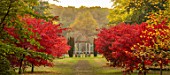 THORP PERROW ARBORETUM, YORKSHIRE: THE MONUMENT, ROTUNDA PUT UP BY SIR JOHN ROPNER, RED LEAVES, FOLIAGE OF MAPLES IN AUTUMN, FALL, TREES, ACERS, ACER PALMATUM OZAKAZUKI