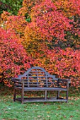 THORP PERROW ARBORETUM, YORKSHIRE: WOODEN LUTYENS BENCH, SEAT, COTINUS, AUTUMN COLOUR, FALL, FOLIAGE, RED
