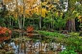 MORTON HALL, WORCESTERSHIRE: AUTUMN, FALL: STROLL GARDEN, LOWER POND, POOL, WATER, REFLECTED, REFLECTIONS, BIRCHES, WOODEN SEAT, BENCH