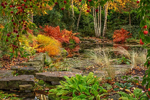 MORTON_HALL_WORCESTERSHIRE_AUTUMN_FALL_STROLL_GARDEN_LOWER_POND_POOL_WATER_REFLECTED_REFLECTIONS_HAK