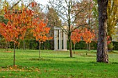 MORTON HALL, WORCESTERSHIRE: AUTUMN, FALL: LAWN, MEADOW WITH MONOPTEROS, PRUNUS SHIZUKA FRAGRANT CLOUD. CHERRY, CHERRIES, FROST, MORNING, DAWN