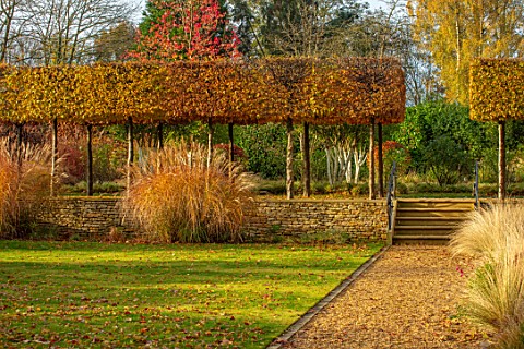 THE_OLD_RECTORY_QUINTON_NORTHAMPTONSHIRE_DESIGNER_ANOUSHKA_FEILER_PENNISETUMS_LAWN_PATH_FALL_AUTUMN_