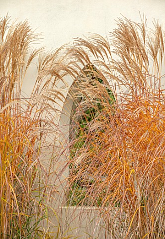 THE_OLD_RECTORY_QUINTON_NORTHAMPTONSHIRE_DESIGNER_ANOUSHKA_FEILER_WINDOW_IN_WALL_MISCANTHUS_SINENSIS