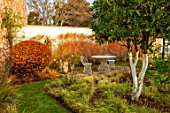 THE OLD RECTORY, QUINTON, NORTHAMPTONSHIRE: DESIGNER ANOUSHKA FEILER: TABLE, CHAIRS, MISCANTHUS SINENSIS KLEINE FONTAINE, PATIOS, AUTUMN, FALL, FAGUS SYLVATICA