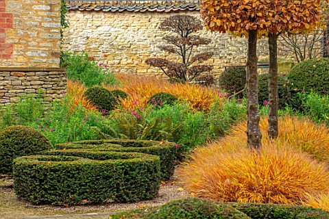 THE_OLD_RECTORY_QUINTON_NORTHAMPTONSHIRE_DESIGNER_ANOUSHKA_FEILER_FRONT_GARDEN__CLIPPED_TOPIARY_BOX_