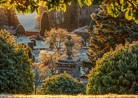 DRUMMOND_CASTLE_GARDENS_SCOTLAND_LAWN_FROST_FROSTY_CASTLE_CLIPPED_TOPIARY_SHAPES_YEW_GARDENS_SCOTTIS