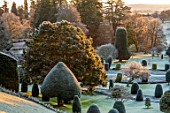 DRUMMOND CASTLE GARDENS, SCOTLAND: LAWN, FROST, FROSTY, CASTLES, CLIPPED, TOPIARY, SHAPES, YEW, GARDENS, SCOTTISH, WINTER, SUNRISE