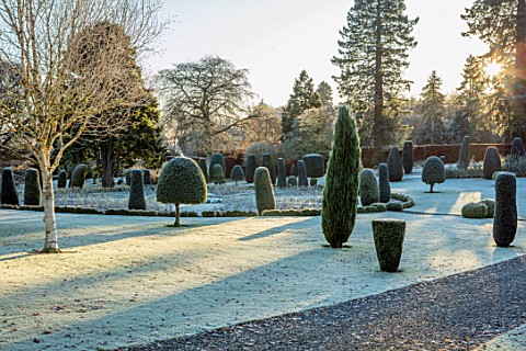 DRUMMOND_CASTLE_GARDENS_SCOTLAND_LAWN_FROST_FROSTY_CASTLES_CLIPPED_TOPIARY_SHAPES_GARDENS_SCOTTISH_W