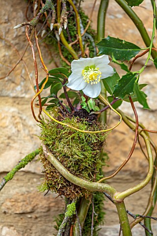 DAYLESFORD_ORGANIC_GLOUCESTERSHIRE_NATURAL_DECORATIONS_CHRISTMAS_HEART_SHAPED_WREATH_IVY_WHITE_FLOWE