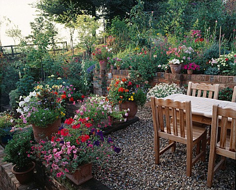 TABLE__CHAIRS_ON_TERRACE_SURROUNDED_BY_CONTAINERS_OF_PETUNIAS_IMPATIENS_PELARGONIUMS_ETC_DESIGNER_JO