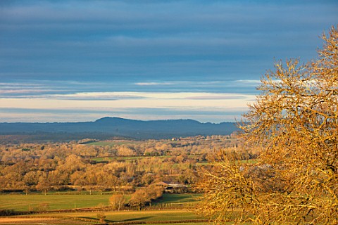 MORTON_HALL_GARDENS_WORCESTERSHIRE_VIEW_TO_ABBERLEY_HILLS_AT_DAWN_SUNRISE_WINTER_JANUARY_LANDSCAPE