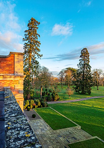MORTON_HALL_GARDENS_WORCESTERSHIRE_TOPIARY_BALLS_AND_SCOTS_PINE_PINUS_SYLVESTRIS_PARKLAND_LAWN_FROM_