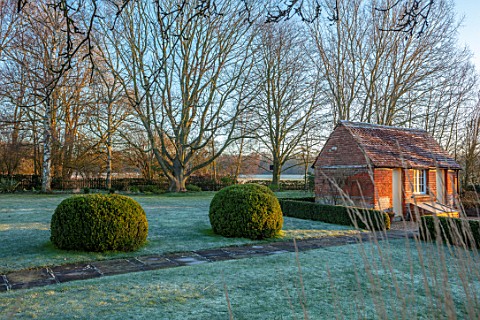 ST_TIMOTHEE_BERKSHIRE__FOSTY_LAWN_CLIPPED_TOPIARY_AND_OUTBUILDING_IN_WINTER_JANUARY_FROST_ENGLISH_CO