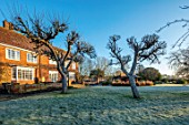 ST TIMOTHEE, BERKSHIRE - LAWN, HOUSE, FRUIT TREES, WINTER, FROST, FROSTY, ENGLISH, COUNTRY, GARDEN