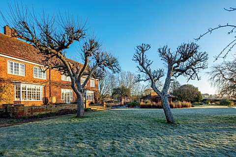 ST_TIMOTHEE_BERKSHIRE__LAWN_HOUSE_FRUIT_TREES_WINTER_FROST_FROSTY_ENGLISH_COUNTRY_GARDEN