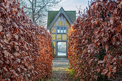 BRYANS_GROUND_HEREFORDSHIRE_PATH_TO_THE_DOVECOTE_THROUGH_BEECH_HEDGES_HEDGING_HEDGE_BUILDING_ARTS_AN