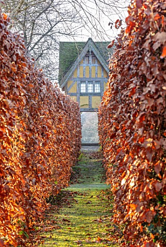 BRYANS_GROUND_HEREFORDSHIRE_PATH_TO_THE_DOVECOTE_THROUGH_BEECH_HEDGES_HEDGING_HEDGE_BUILDING_ARTS_AN