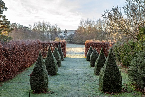 BRYANS_GROUND_HEREFORDSHIRE_THE_DOVECOTE_GARDEN__EIGHT_CLIPPED_YEW_TOPIARY_OBELISKS_HA_HA_VIEW_OUT_T