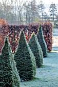 BRYANS GROUND, HEREFORDSHIRE: THE DOVECOTE GARDEN - CLIPPED YEW TOPIARY OBELISKS, HA HA, VIEW OUT TO COUNTRYSIDE, ENGLISH, GARDEN, BEECH, HEDGES, HEDGING, FROSTY
