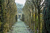 BRYANS GROUND, HEREFORDSHIRE: WINTER, FROST, FROSTY, AVENUE OF PLEACHED, LIMES, TILIA PLATYPHYLLOS RUBRA, PATH, FOLLY, FOLLIES, FORMAL, COUNTRY GARDEN, FROST, FROSTY