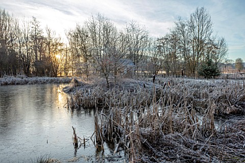 BRYANS_GROUND_HEREFORDSHIRE_WINTER_LAKE_POOL_POND_BULLRUSHES_COUNTRY_GARDEN_FROST_FROSTY
