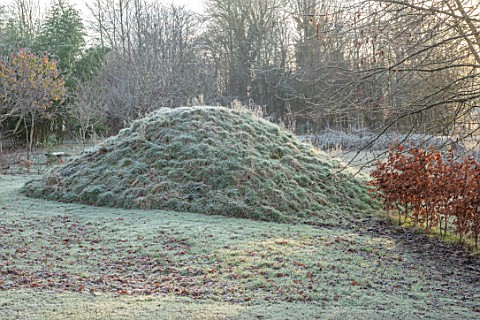 BRYANS_GROUND_HEREFORDSHIRE_WINTER_VIEWING_MOUND_LAKE_POOL_POND_BULLRUSHES_COUNTRY_GARDEN_FROST_FROS