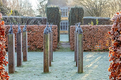 BRYANS_GROUND_HEREFORDSHIRE_SQUARE_OF_HARE_SCULPTURE_FROST_FROSTY_WINTER_JANUARY_GARDEN_ORNAMENT_FOR
