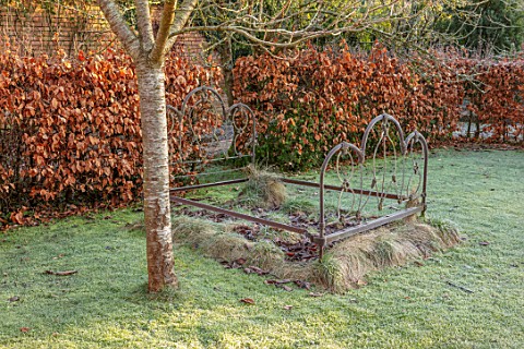 BRYANS_GROUND_HEREFORDSHIRE_OLD_RUSTY_BED_SCULPTURE_FROST_FROSTY_WINTER_JANUARY_GARDEN_ORNAMENT_FORM