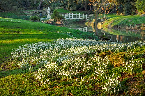 EYTHROPE_WADDESDON_BUCKINGHAMSHIRE_LAKE_WATER_REFLECTED_REFLECTIONS_GROTTO_SNOWDROPS_PARKLAND_TREES_