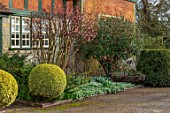 WADDESDON, EYTHROPE, BUCKINGHAMSHIRE: SNOWDROPS AND VIBURNUM IN FLOWER BESIDE THE HOUSE, BORDERS, WINTER, JANUARY
