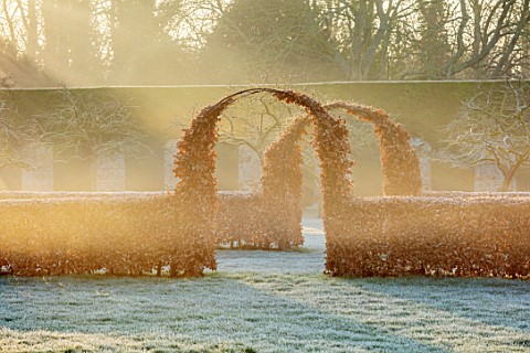 CHIPPENHAM_PARK_CAMBRIDGESHIRE_THE_WALLED_GARDEN_BEECH_HEDGES_ARCHES_FROSTED_LAWN_WINTER_JANUARY_FRO