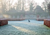 CHIPPENHAM PARK, CAMBRIDGESHIRE: THE WALLED GARDEN, BEECH HEDGES, HARE SCULPTURE, FROSTED LAWN, WINTER, JANUARY, FROSTY, DAWN, SUNRISE