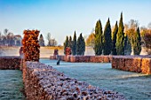 CHIPPENHAM PARK, CAMBRIDGESHIRE: THE WALLED GARDEN, BEECH HEDGES, HARE SCULPTURE, FROSTED LAWN, WINTER, JANUARY, FROSTY, DAWN, SUNRISE