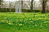 MORTON HALL GARDENS, WORCESTERSHIRE: MEADOW, YELLOW FLOWERS OF WILD DAFFODIL - PSEUDONARCISSUS LOBULARIS, LENT LILY, FLOWERING, BULBS, MARCH