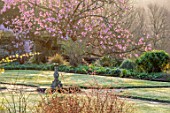 GRAVETYE MANOR, SUSSEX: MARCH, PINK FLOWERS OF MAGNOLIA CAMPBELLII IN FULL FLOWER, SUNDIAL, LAWN, MARCH, BLOOMS, BLOOMING, SUNRISE