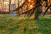 MORTON HALL GARDENS, WORCESTERSHIRE: THE MEADOW IN MARCH, SPRING, NARCISSUS, DAFFODILD, MEADOWS, YELLOW, FLOWERS, BULBS, DAWN, SUNRISE, MONOPTEROS, FOLLY, FOLLIES
