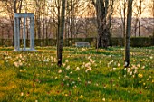 MORTON HALL GARDENS, WORCESTERSHIRE: SNAKES HEAD FRITILLARIES, DAFFODILS, NARCISSUS MEADOW, PARKLAND, MONOPTEROS, FOLLY, FOLLIES, DAWN, SUNRISE, MARCH, SPRING, BULBS