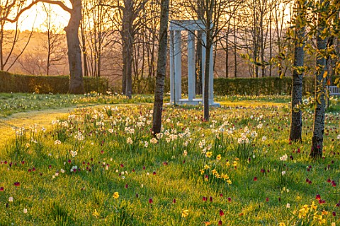 MORTON_HALL_GARDENS_WORCESTERSHIRE_SNAKES_HEAD_FRITILLARIES_DAFFODILS_NARCISSUS_MEADOW_PARKLAND_MONO
