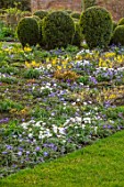MORTON HALL GARDENS, WORCESTERSHIRE: YELLOW FLOWERS OF EPIMEDIUM X VERSICOLOR SULPHUREUM, WHITE AND PURPLE FLOWERS OF ANEMONE BLANDA, BOX TOPIARY, PERENNIALS, SHADE, SHADY