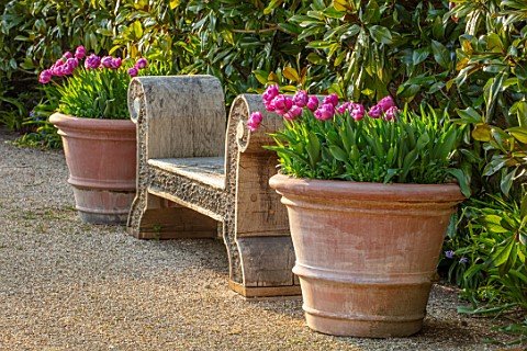 ARUNDEL_CASTLE_GARDENS_WEST_SUSSEX_WOODEN_OAK_BENCH_SEAT_SEATS_BENCHES_TERRACOTTA_CONTAINERS_WITH_TU