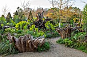 ARUNDEL CASTLE GARDENS, WEST SUSSEX: THE STUMPERY DESIGNED BY MARTIN DUNCAN. STUMPS, TREES, EUPHORBIA, SPRING, APRIL, GREEN, PATHS