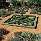 THE FORMAL KNOT OF BOX IN THE TUDOR HOUSE GARDEN  SOUTHAMPTON  HAMPSHIRE.
