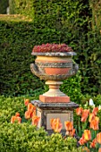 THE LASKETT GARDENS, HEREFORDSHIRE. DESIGNER ROY STRONG - THE SILVER JUBILEE GARDEN, URNS, CONTAINERS, TULIPS, BOX HEDGING, HEDGES, SPRING, APRIL